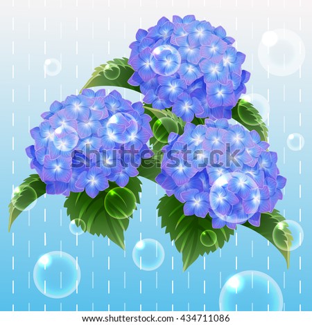 Shutterstock Puzzlepix