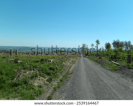 Similar – Image, Stock Photo forest dieback Environment