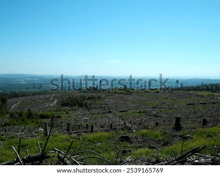 Similar – Image, Stock Photo forest dieback Environment