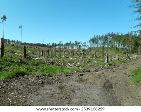 Similar – Image, Stock Photo forest dieback Environment