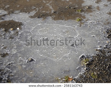 Similar – Image, Stock Photo some drops in a leaf after the  rain