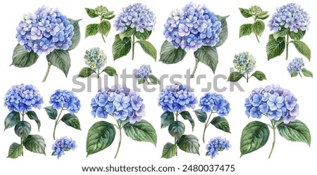 Similar – Image, Stock Photo hydrangea