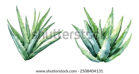 Similar – Image, Stock Photo Aloe Vera Plant Nature