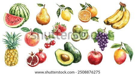 Watercolor Fruits, Apple, Pomegranate, Strawberry, Watermelon, Avocado, Banana, Cherry, Grape, Kiwi, Lemon, Mango, Orange, Peach, Pear, Pineapple. White background