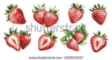 Fresh Strawberry Watercolor Fruit Hand Painted. Summer Red Berry, White Background. Vector Illustration