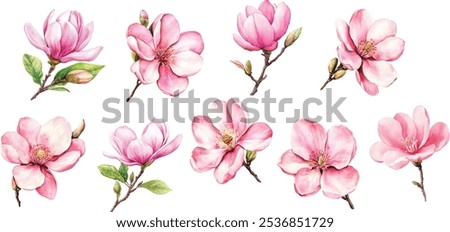 Similar – Image, Stock Photo Pink flowers Flower