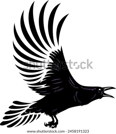 Illustrator of Flying Black Raven