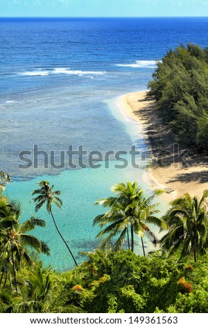 Beautiful Hawaiian beach with palm trees and aqua blue water, seen from nearby cliff