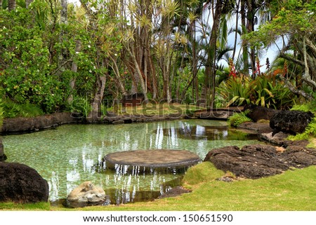 Tropical pond in remote garden setting with lush flowering foliage.