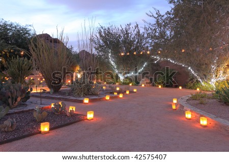 garden paths lit with luminarias
