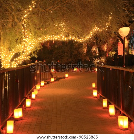 garden path at night, lit up with luminarias and Christmas lights in the trees