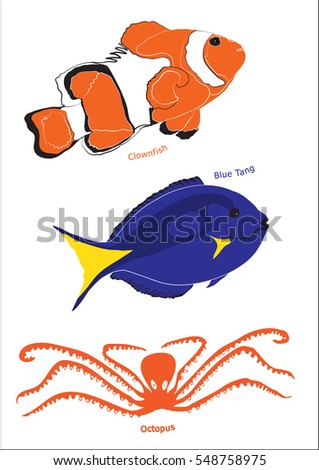 Set of three marine life illustrations