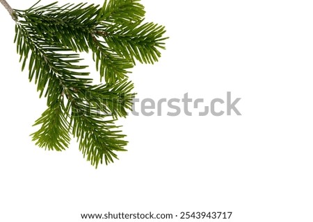 Similar – Image, Stock Photo View of the pine forest in the mountains in the evening