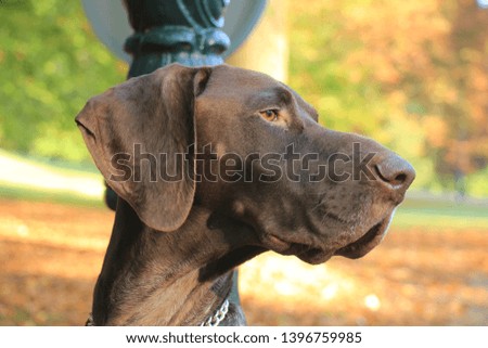 Shutterstock Puzzlepix