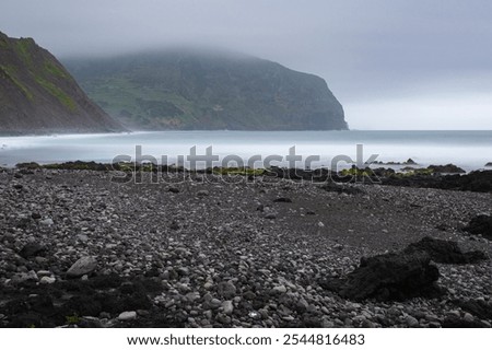 Similar – Image, Stock Photo Gloomy nature Nature