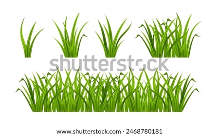 Green grass vector realistic set. Fresh grass leaves.