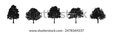 Tree collection. Tree vectors. Tree silhouettes