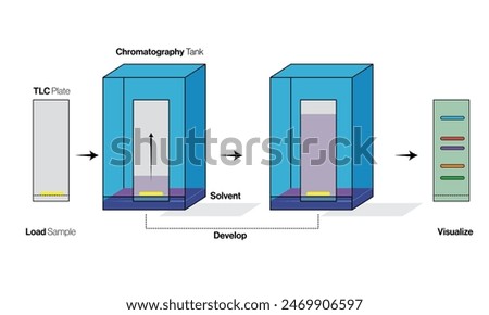 Detailed Vector Illustration of Thin Layer Chromatography Technique on a White Background for Scientific and Educational Use.