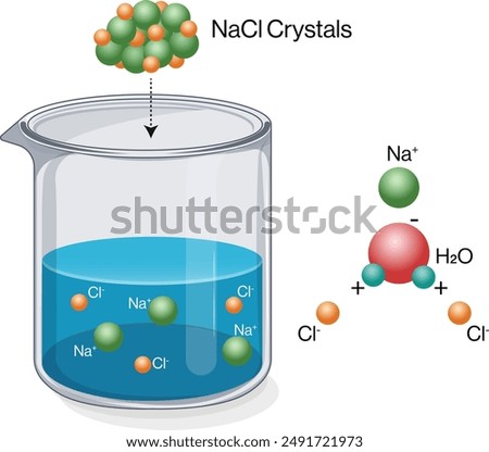 Ionization Principle Using NaCl Dissociation in Water Diagram, White Background, Science Vector Illustration