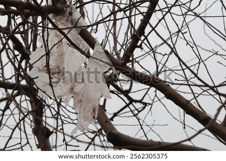 Similar – Image, Stock Photo Plastic waste in branches of a bare tree in front of a glass facade