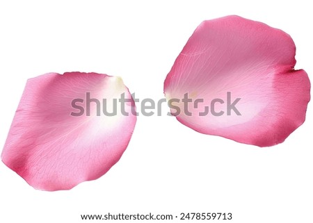 Similar – Image, Stock Photo Petals of a peony, queen of the day…