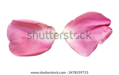 Similar – Image, Stock Photo Pink peony petals rose flowers