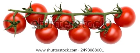 Similar – Image, Stock Photo Fresh small tomatoes on the vine