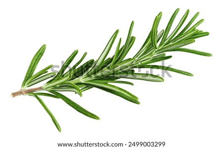 Similar – Image, Stock Photo A bunch of green asparagus on wooden surface