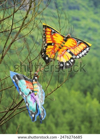 Similar – Image, Stock Photo Kite caught on tree kites