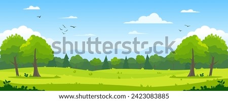 Beautiful landscape. Green summer forest clearing with grass and trees against the backdrop of a mixed forest of pine trees, hills, birds in the blue sky and clouds. Vector illustration for design.