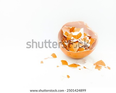 Similar – Image, Stock Photo Egg shells on a cream-coloured background. Kitchen concept.