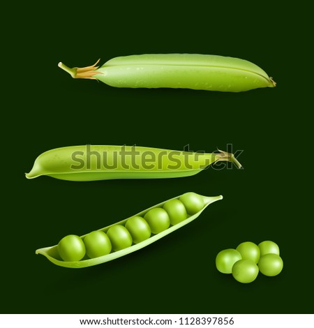 Vector green peas. Photo-realistic vector pods of green peas  on Green background. 3d green peas illustration.