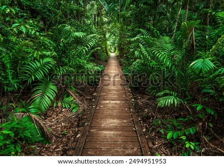 Similar – Image, Stock Photo bako national park | wonderful place in the world