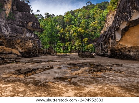 Similar – Image, Stock Photo bako national park | wonderful place in the world