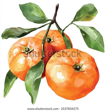 Similar – Image, Stock Photo Mandarine fruits and cinnamon sticks styled on blue cloth background, flat lay, winter theme