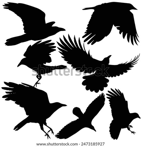 Hand drawn animals silhouette set
Terrifying halloween silhouette
Raven silhouette Crow silhouette