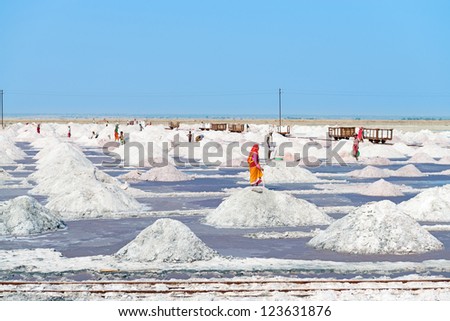 SAMBHAR, INDIA - NOV 19: Workers collect salt in salt farm on Nov 19, 2012 in Sambhar Salt Lake, India. It is India\'s largest saline lake and where salt has been farmed for a thousand years.