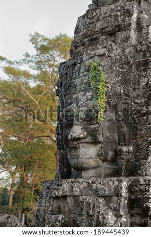 Smiling Buddha or king stone face in ancient Bayon wat temple, Angkor area, Cambodia