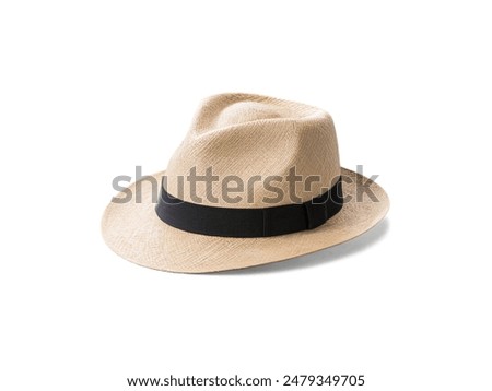 Similar – Image, Stock Photo Stylish man in hat and sunglasses standing on road