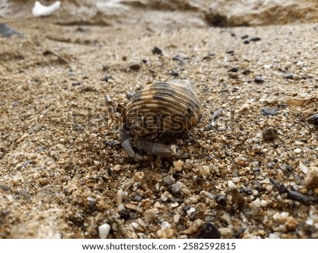 Similar – Foto Bild Ein Bild von einer Reise nach Vietnam. Ein wunderschönes blondes Mädchen posiert vor einer Kamera. Sie trägt ein Sommerkleid und ist in Urlaubsstimmung. Was für eine Zeit, in der man lebt!