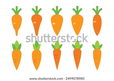 Carrot Color Art Illustration Wonders