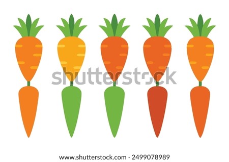 Carrot Color Art Illustration Collection