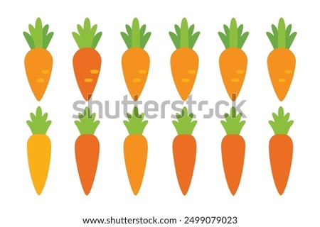 Carrot Color Art Illustration Gallery