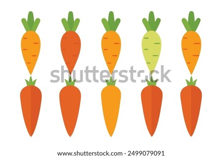 Carrot Color Art Illustration Showcase