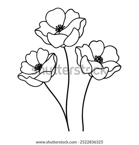 Similar – Image, Stock Photo poppy Poppy Poppy blossom