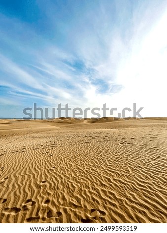 Similar – Foto Bild Maspalomas schön