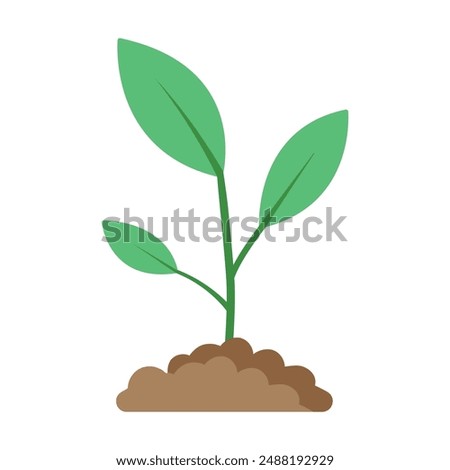 Green Sprout Growing from Ground Symbolizing Life and Ecology