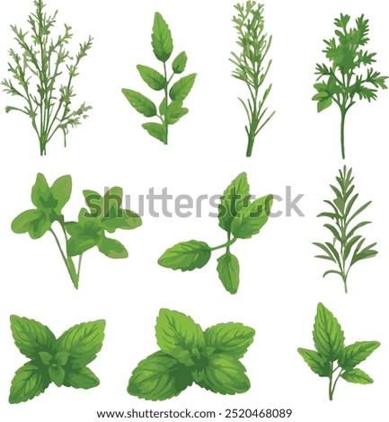 Wild flowers vector collection herbs