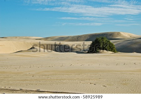 Deserts & sandunes 13, sandune and desert scenes from Australia
