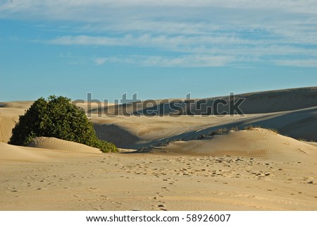 Deserts & sandunes 2, sandune and desert scenes from Australia